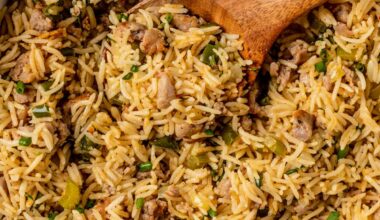 Dirty Rice Recipe Healthy