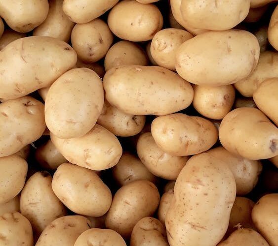 Do Potatoes Make you Gain Weight?